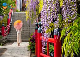 [HCM] Tour Nhật Bản Lễ 30/4 Mùa Hoa Tử Đằng: Shinhotaka Ropeway